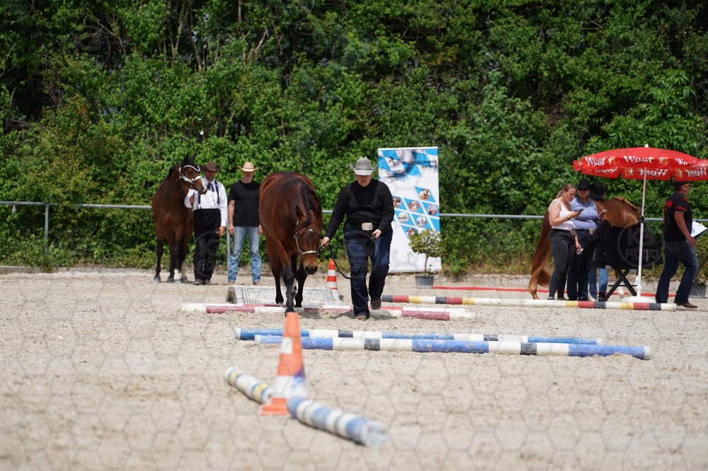 s_A9_06326.jpg